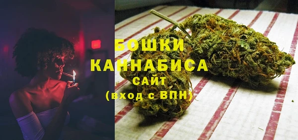 ПСИЛОЦИБИНОВЫЕ ГРИБЫ Балахна